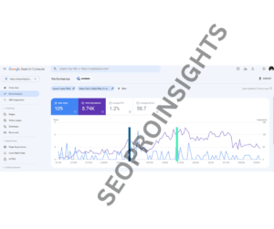 Dulph didgital SEO report